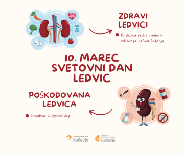 Ledvice